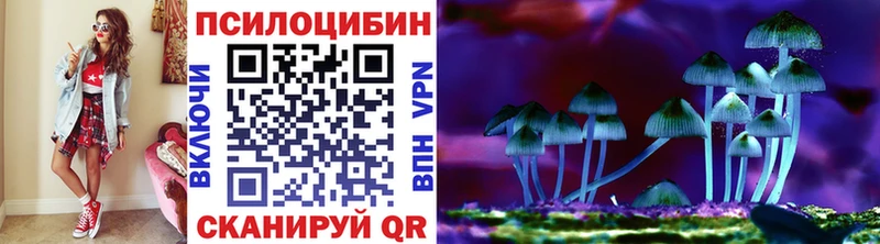 что такое   Черняховск  Псилоцибиновые грибы MAGIC MUSHROOMS 